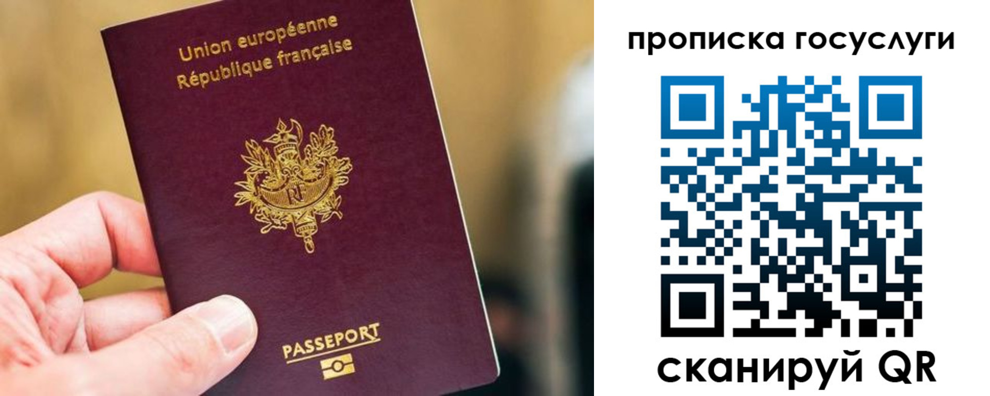 временная регистрация поиск в Дубне